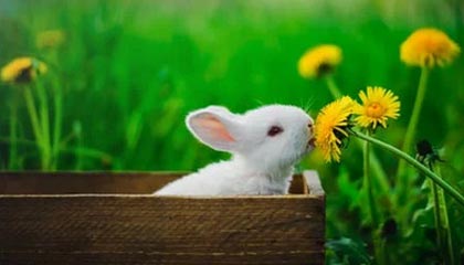 世俱杯直通-欧洲杯资格赛阵容确定，各国队员状态有口皆碑，欧洲杯参赛资格2020