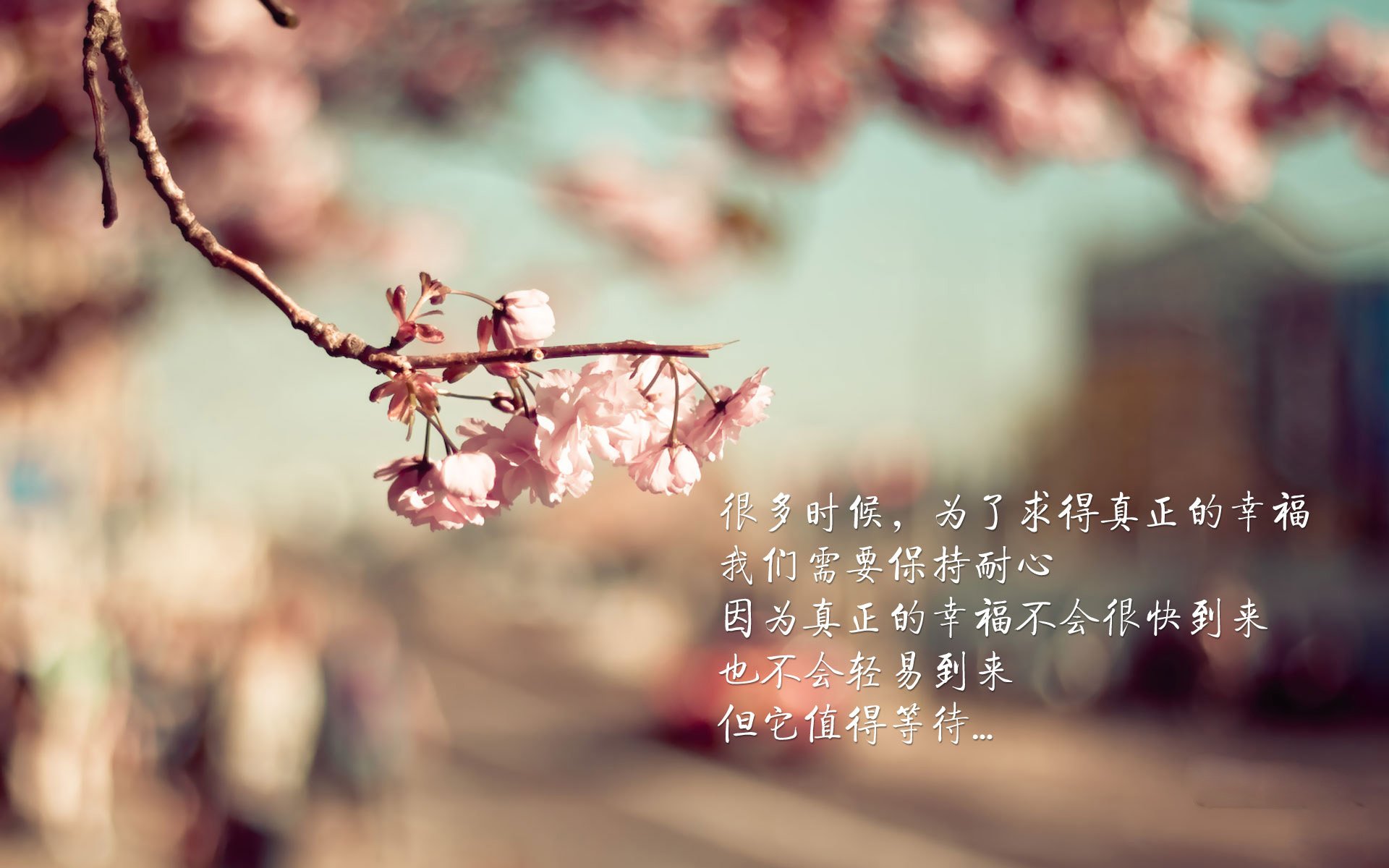 科比：用整整20年的“曼巴人生”影响一代又一代！，科比曼巴ep