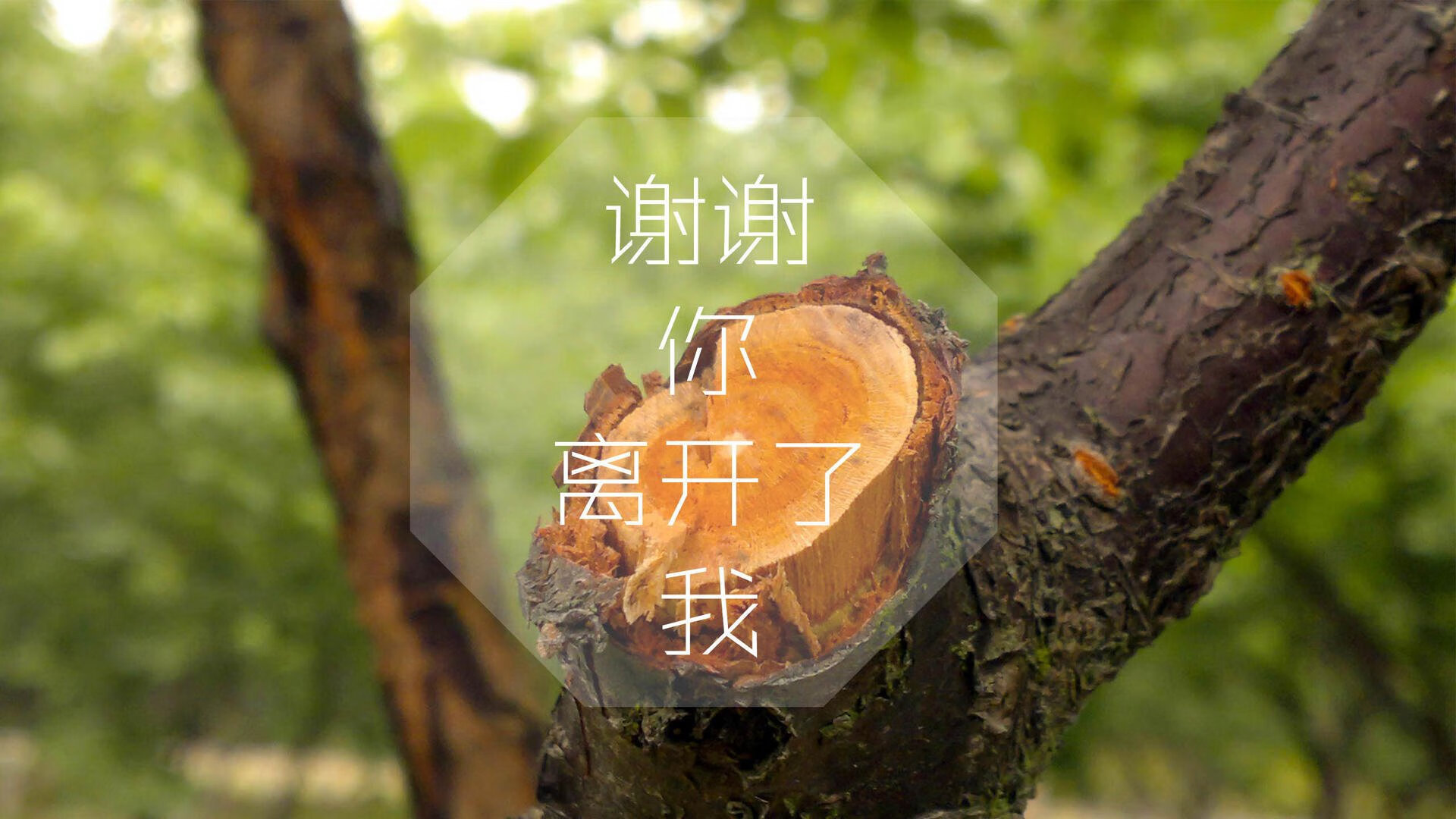 美国队在巴黎奥运会比赛中多次利用边路进攻，巴黎奥运会美国男篮