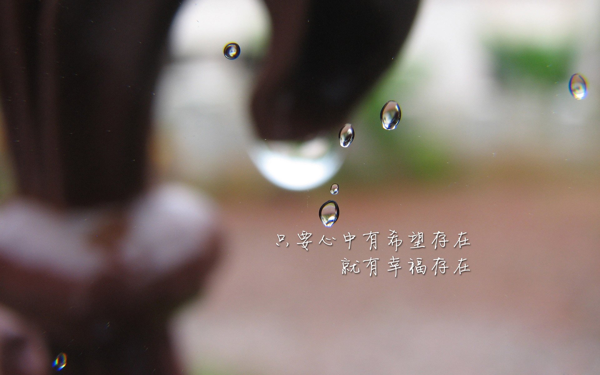 葡萄牙马术协会与科技公司合作，开发虚拟现实训练平台，提升骑手技能。