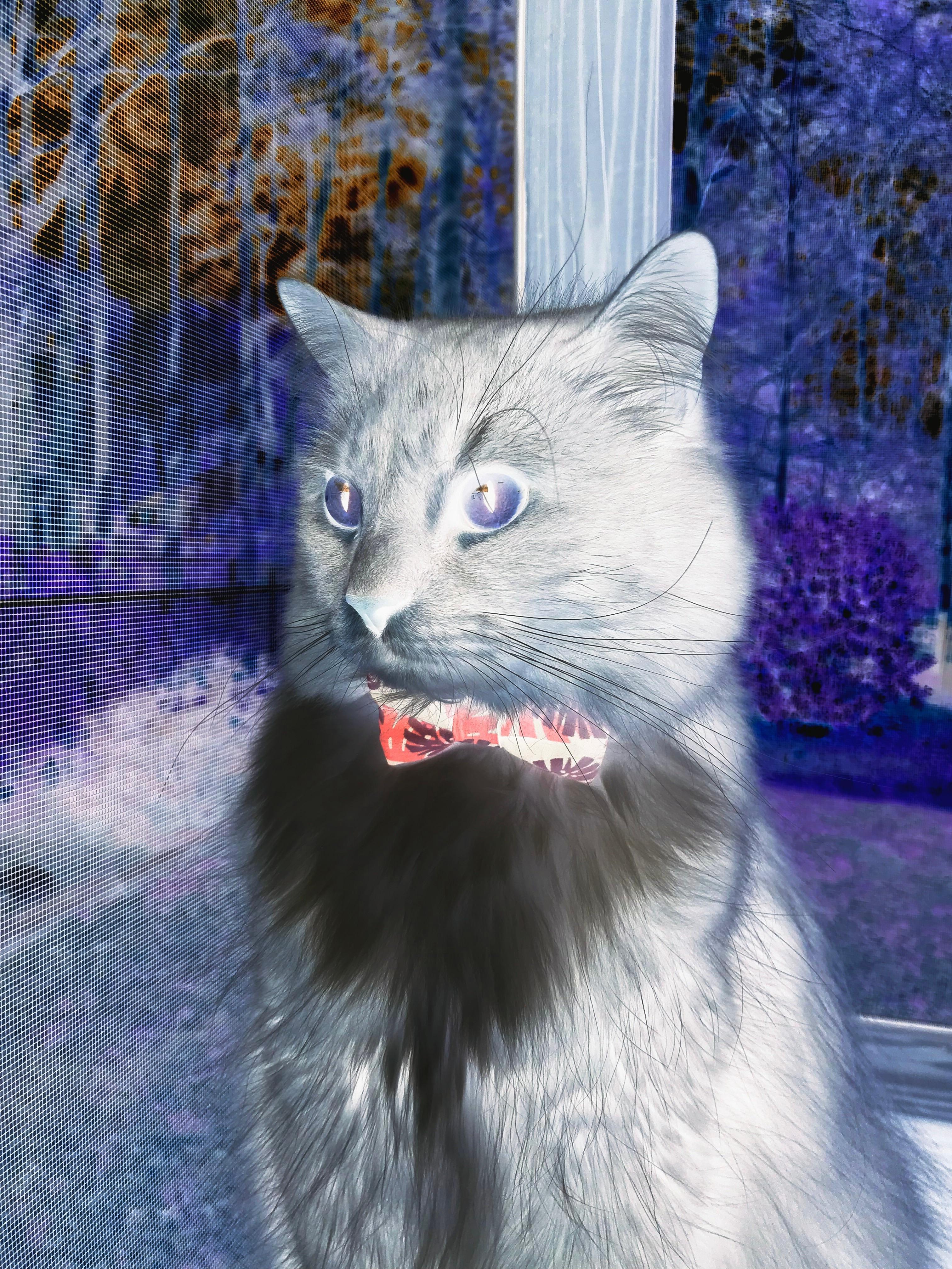 世俱杯足球赛事在线直播-体育新闻中心主办体育记者职业发展趋势调研发布会，体育记者就业前景分析