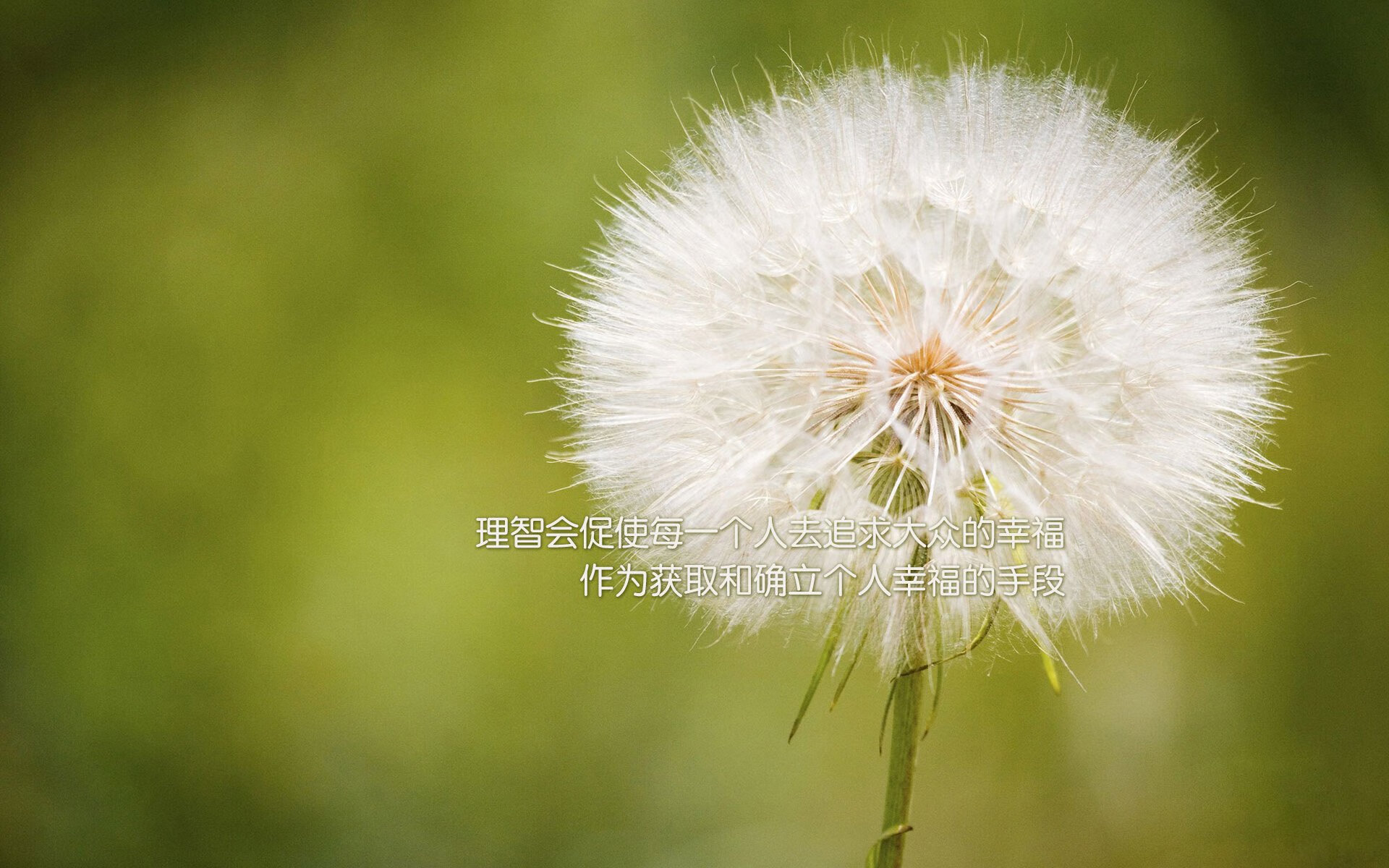 摩洛哥男篮在非洲锦标赛中迎战强敌，体育实力不断提升，摩洛哥比赛视频